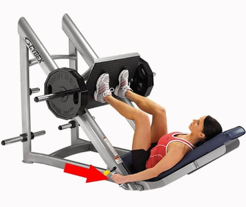 LegPress