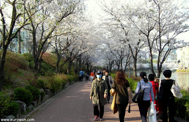 Coreanos paseando por le parque del lago Seokchon de Seocho