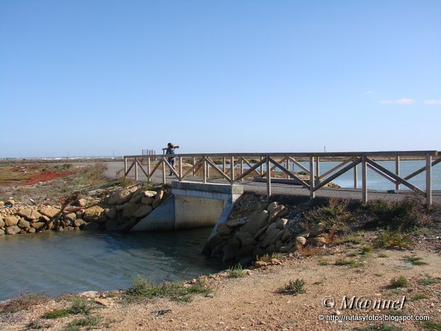 Caño del Carrascón - Salina San Judas - Caño de Sancti Petri