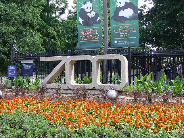 top world famous zoo