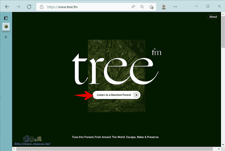 tree.fm 聆聽世界各地森林的聲音