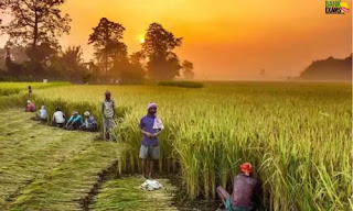 Centre takes 5 significant decisions for strengthening Primary Agricultural Credit Societies