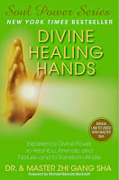 Does Energy Healing  Really Work | How do I become a healer | What is Divine Healing Hands | Master Sha