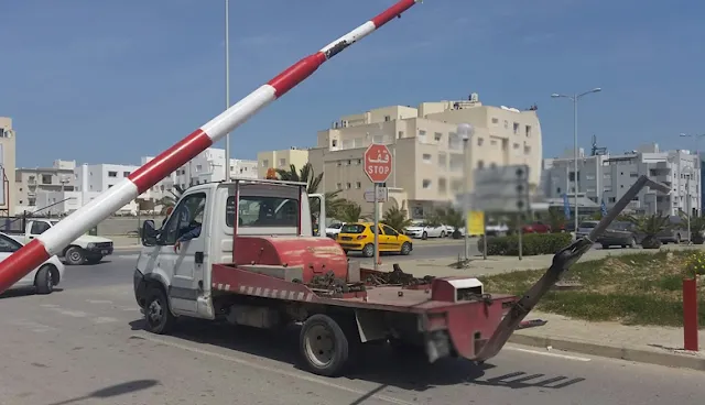 المهدية : " الشنقال " يعود إلى سالف نشاطه