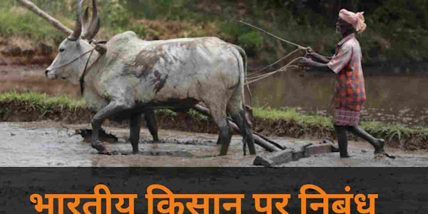 भारतीय किसान पर निबंध 300 शब्दों में | Kisan par nibandh