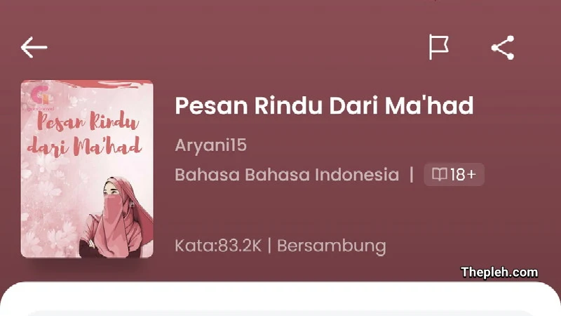 Novel Pesan Rindu Dari Ma'had Full Bab