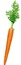 carrot
