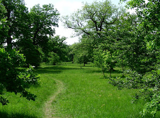 Eichelgarten im Forstenrieder Park südlich von München