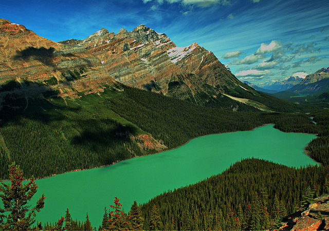 Peyto Lake by Aubrey Stoll