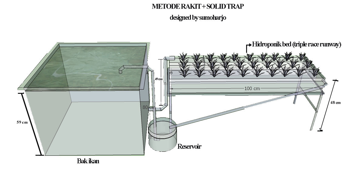 AQUAPONIC - Solusi penanganan limbah bagi pembudidaya lele ...