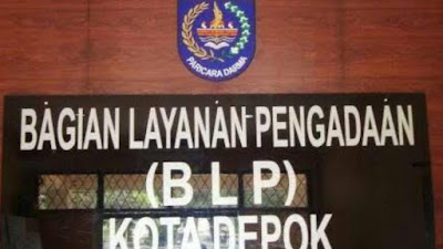 Ketua Pokja 8 ULP Kota Depok: Kendala Belum Diupdate karena Sistim LKPP Pusat