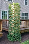 Successful Ways to Building DIY Trellis for Veggies and Fruits