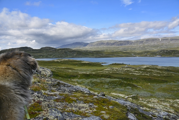 Bergsjøen rundt Vats Hallingdal