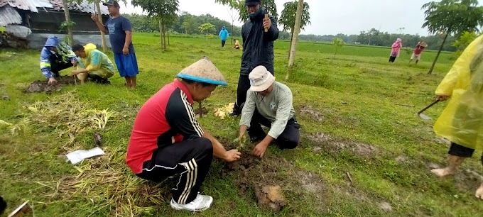  Wujud Nyata Peduli Lingkungan, Guru dan Siswa SMKN 2 Blora Tanam Mangrove dan Pohon di Darat