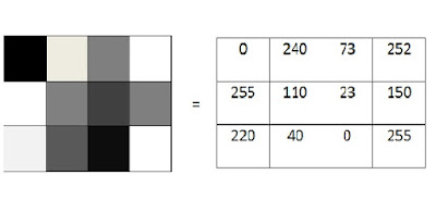 Image Processing_digital image storage