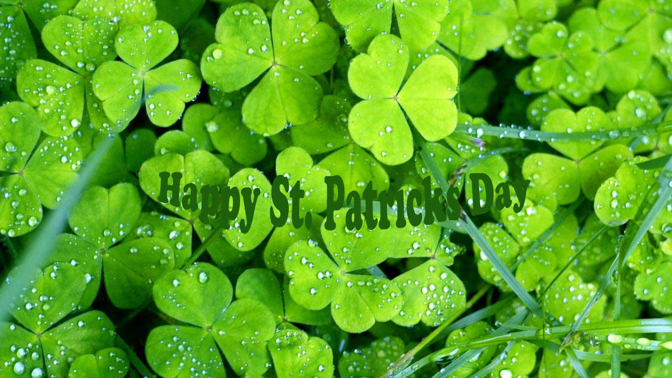 Fun Gallery Images: gallery St Patrick's Day Greetings WallPapers