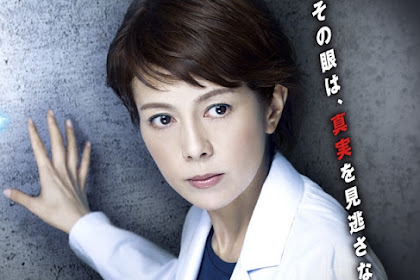 Sinopsis The Woman of S.R.I. Season 13 (2013) - Serial TV Jepang