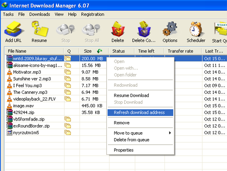 Refresh IDM Downloads