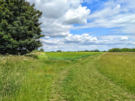 Follow Ickleford footpath 3 as it bends to the right then heads NNE