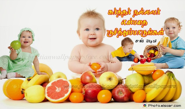 Tamil Desktop Cute HD Bible Verse Wallpaper