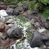 Indonésie - Java - le lac d'acide du Kawah Ijen (2400m)