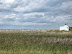 Brancaster Marsh