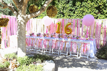 Backyard Birthday Party Ideas Sweet 16