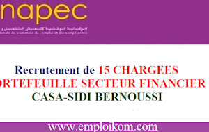 Recrutement de 15 CHARGEES PORTEFEUILLE SECTEUR FINANCIER sur CASA-SIDI BERNOUSSI
