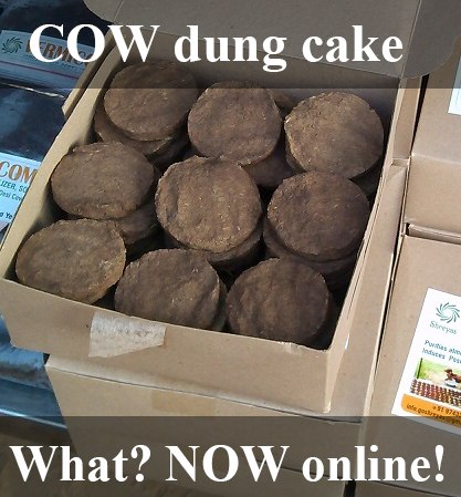 Best Low Price Cow Dung Cakes Online In India All For Students
