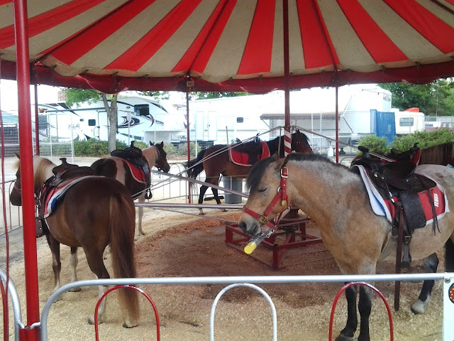 kdays pony carousel