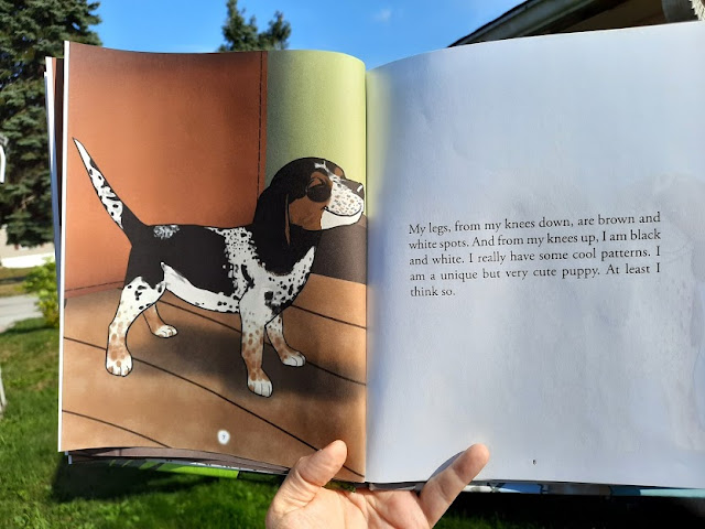 Adjectives and characterization with The Adventures of Noah by Lori Brown. Noah is a rescue dog who found his forever home. Based on a true story.