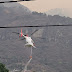 IMÁGENES del incendio en Tepoztlán; llegan helicópteros a combatir el fuego