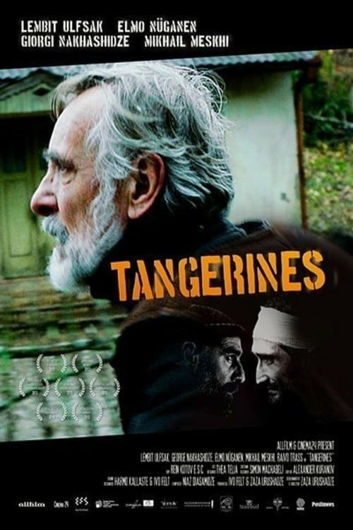 [HD] Mandarines 2013 Film Entier Francais
