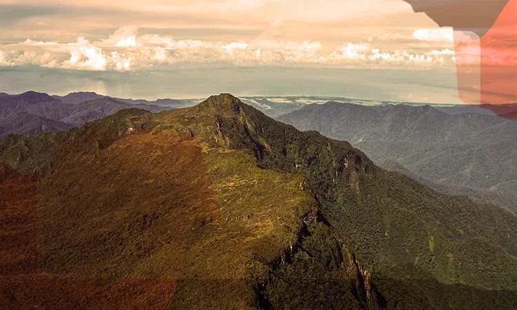 menikmati keindahan taman nasional gunung leuser