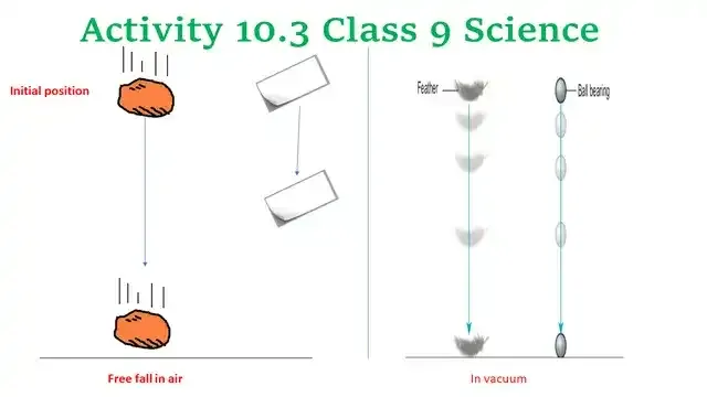 Activity 10.3 Class 9 Science Chapter 10 Gravitation
