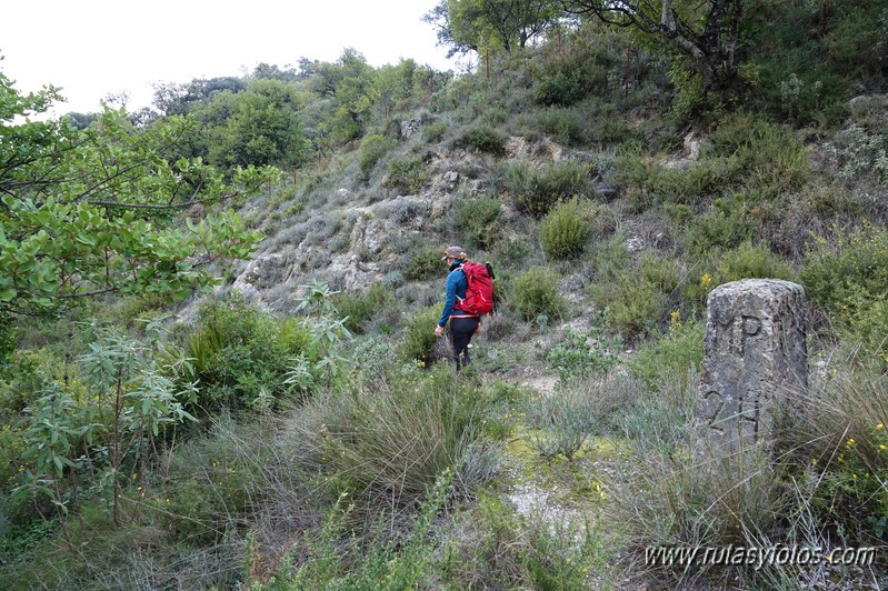 Benamahoma - Cruz de la Atalaya - Torre Musulmana - El Descansadero - Molino del Susto