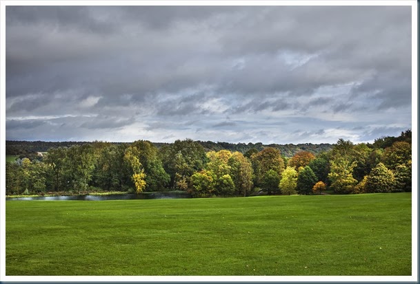 _MG_2019