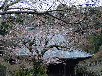  妙本寺