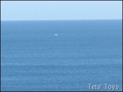IMG_8732 IMG_8732