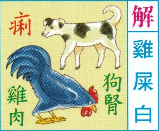 鶏肉と犬の腎臓