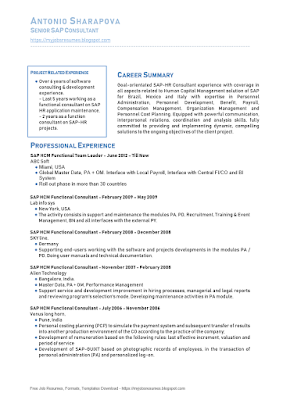 Senior Consultant SAP Resume Samples 01