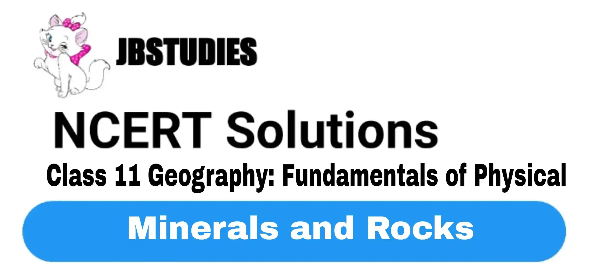 Solutions Class 11 Geography Chapter-5 Minerals and Rocks