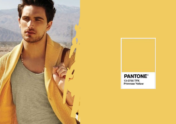 Look Masculino Amarelo (1)