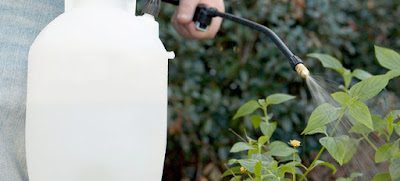 top rated garden sprayers