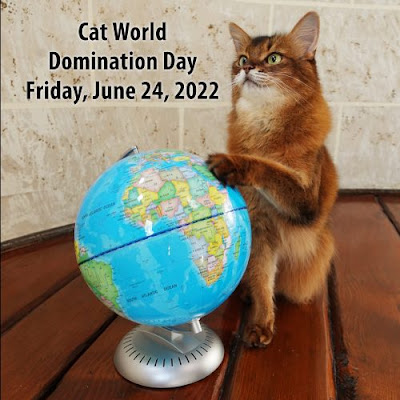 cat with globe