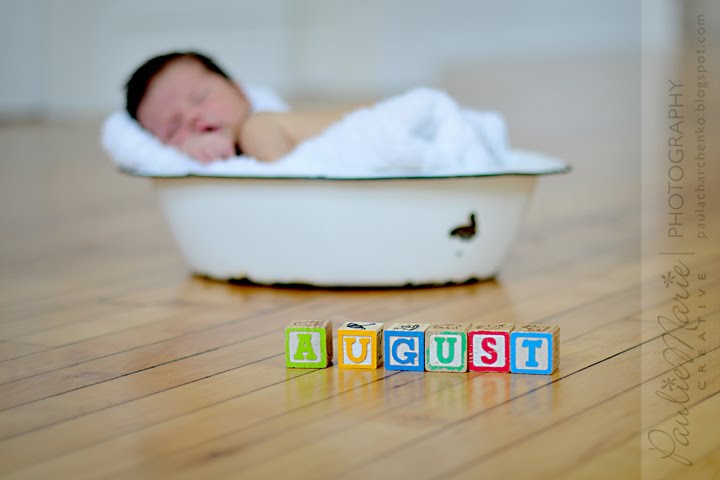 inneapolis Newborn Photographer