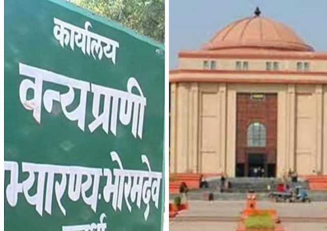 HC: भोरमदेव को टाईगर रिजर्व बनाने वाइल्ड लाइफ बोर्ड के निर्देश का इंतज़ार, कोर्ट ने शासन से चार सप्ताह में मांगा जवाब..