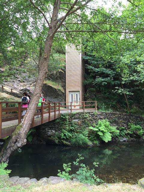 Spain, Marronda forest and the Eo River   by E.V.Pita (2015)  http://evpita.blogspot.com/2015/06/spain-marronda-forest-and-eo-river.html   Fraga de Marronda - río Eo (Baleira, Lugo)  por E.V.Pita (2015)