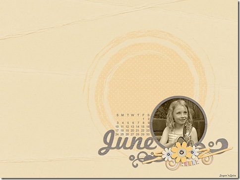 SnS-June2012Desktop-1024x770