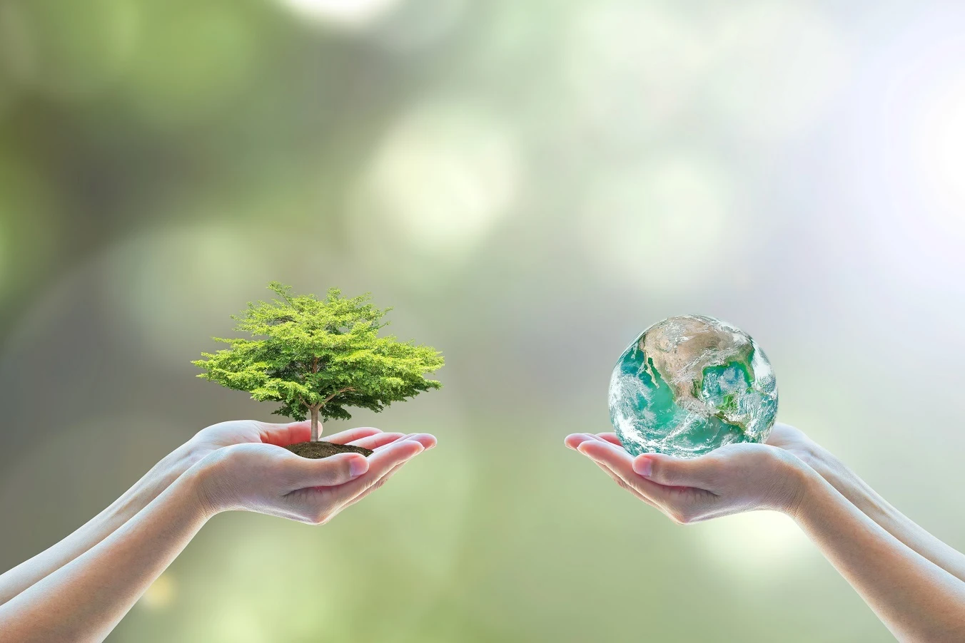 10 Pasos para una Vida Eco-Consciente: Guía para un Estilo de Vida Sostenible